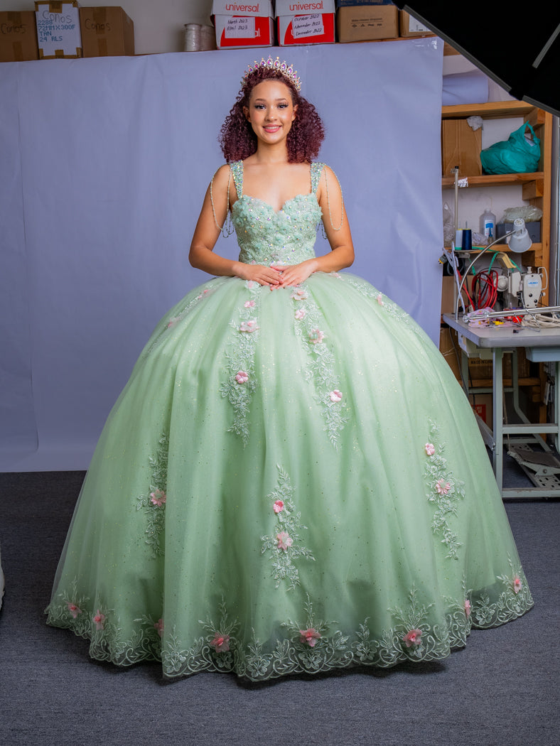 Floral Applique Sleeveless Ball Gown by Calla SCL30011