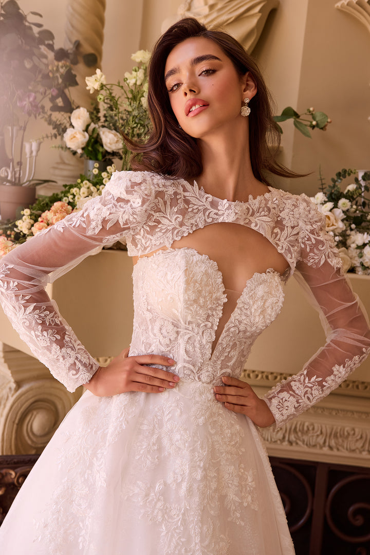 Applique Strapless Bridal Gown by Ladivine WL037