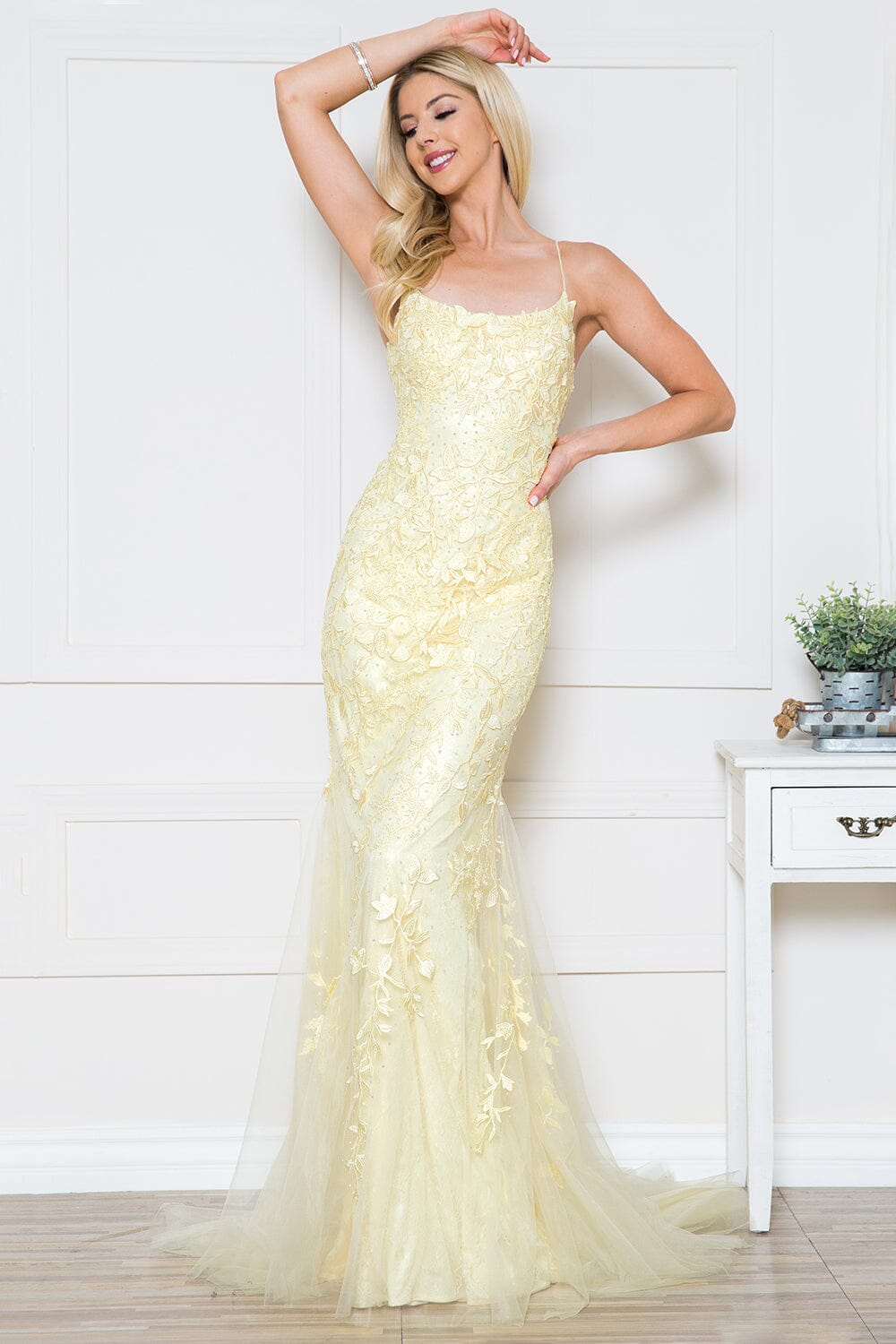 Fitted Embroidered Sleeveless Gown by Amelia Couture 799