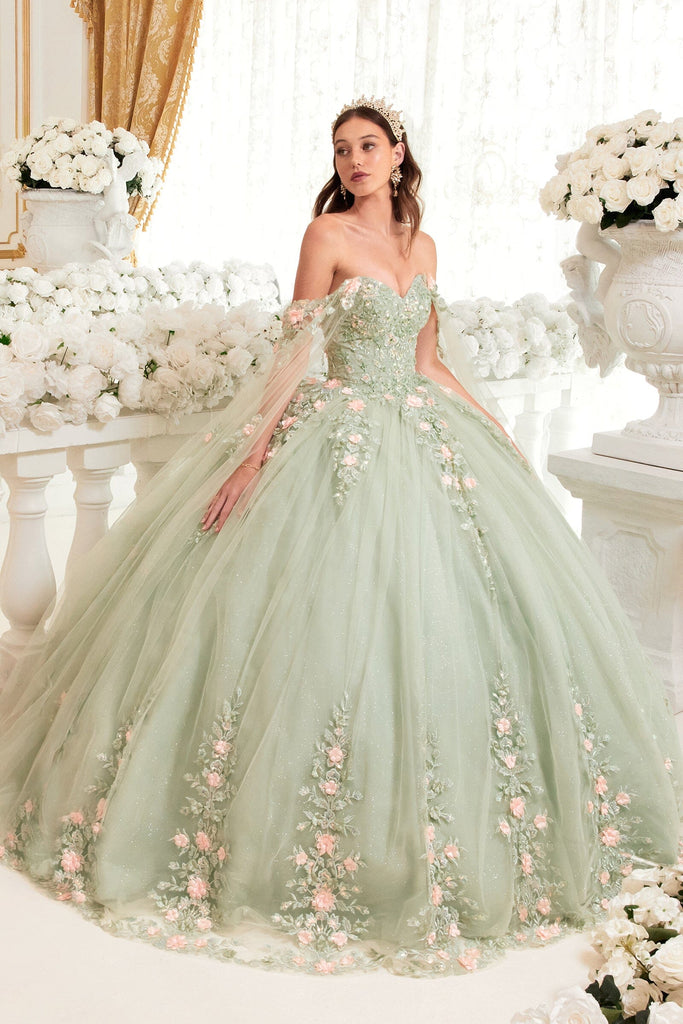 https://www.abcfashion.net/cdn/shop/files/floral-applique-cape-sleeve-ball-gown-by-ladivine-15716-quinceanera-dresses-cinderella-divine-xs-sage-601305_1024x1024.jpg?v=1701920907