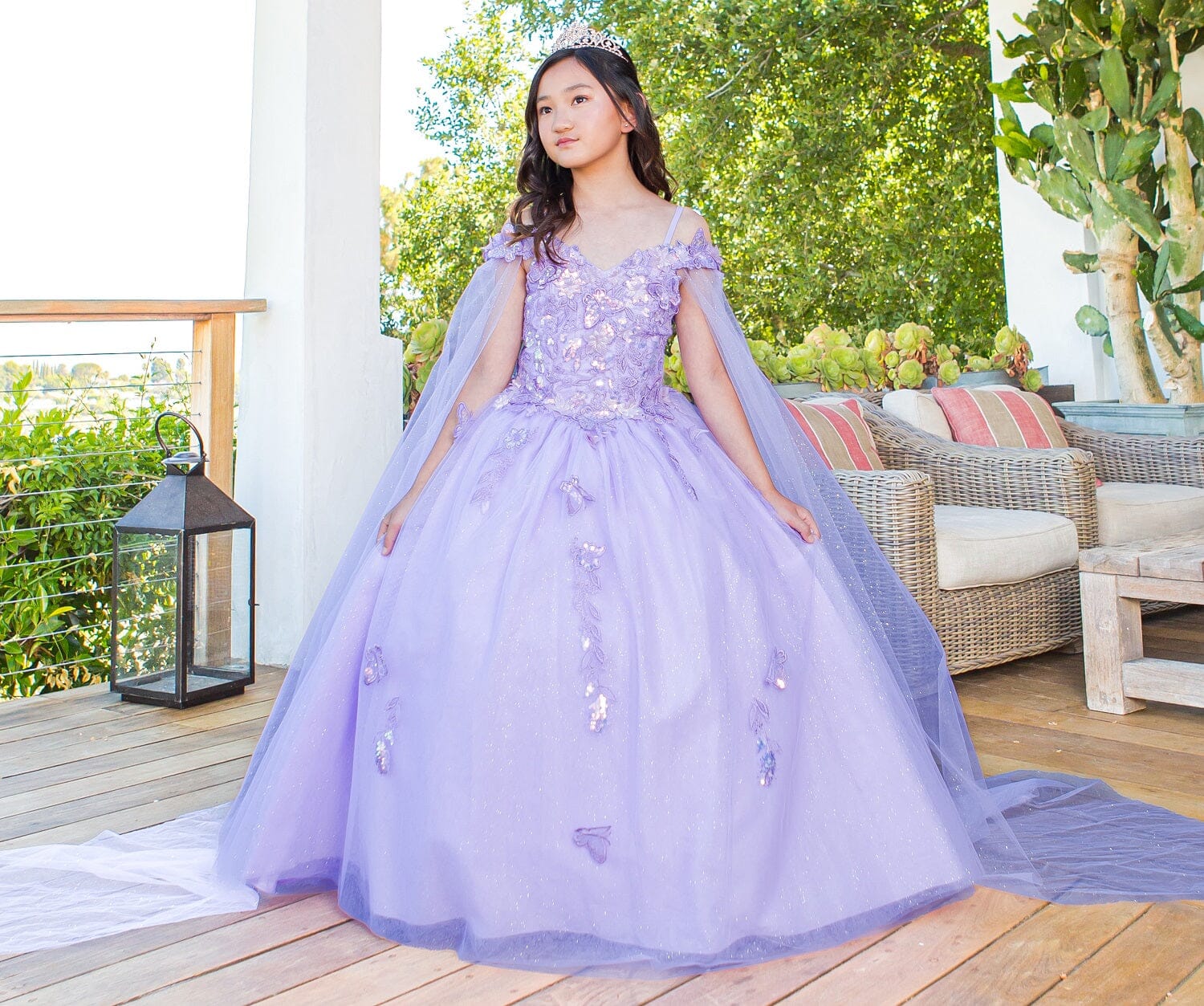 Butterfly cinderella dress hotsell