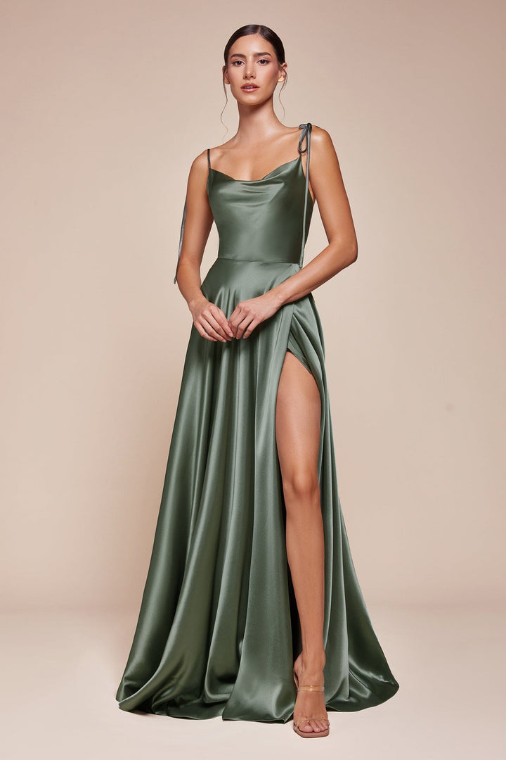 Long Satin Sleeveless Cowl Slit Dress by Ladivine BD104