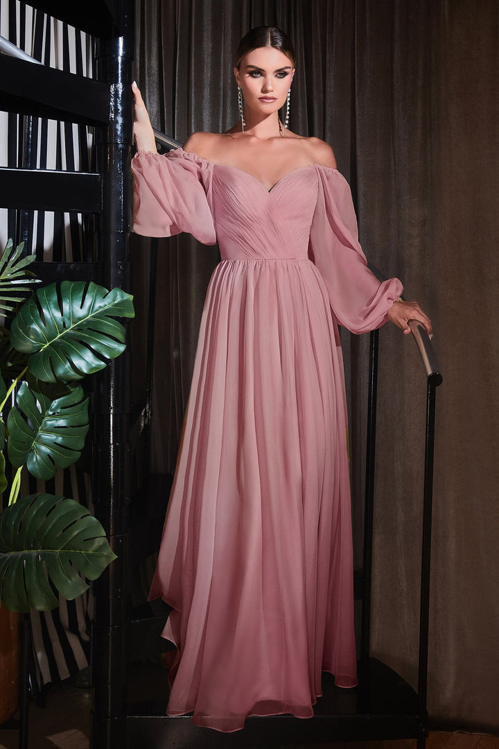 Long Sleeve Chiffon Gown by Cinderella Divine CD243