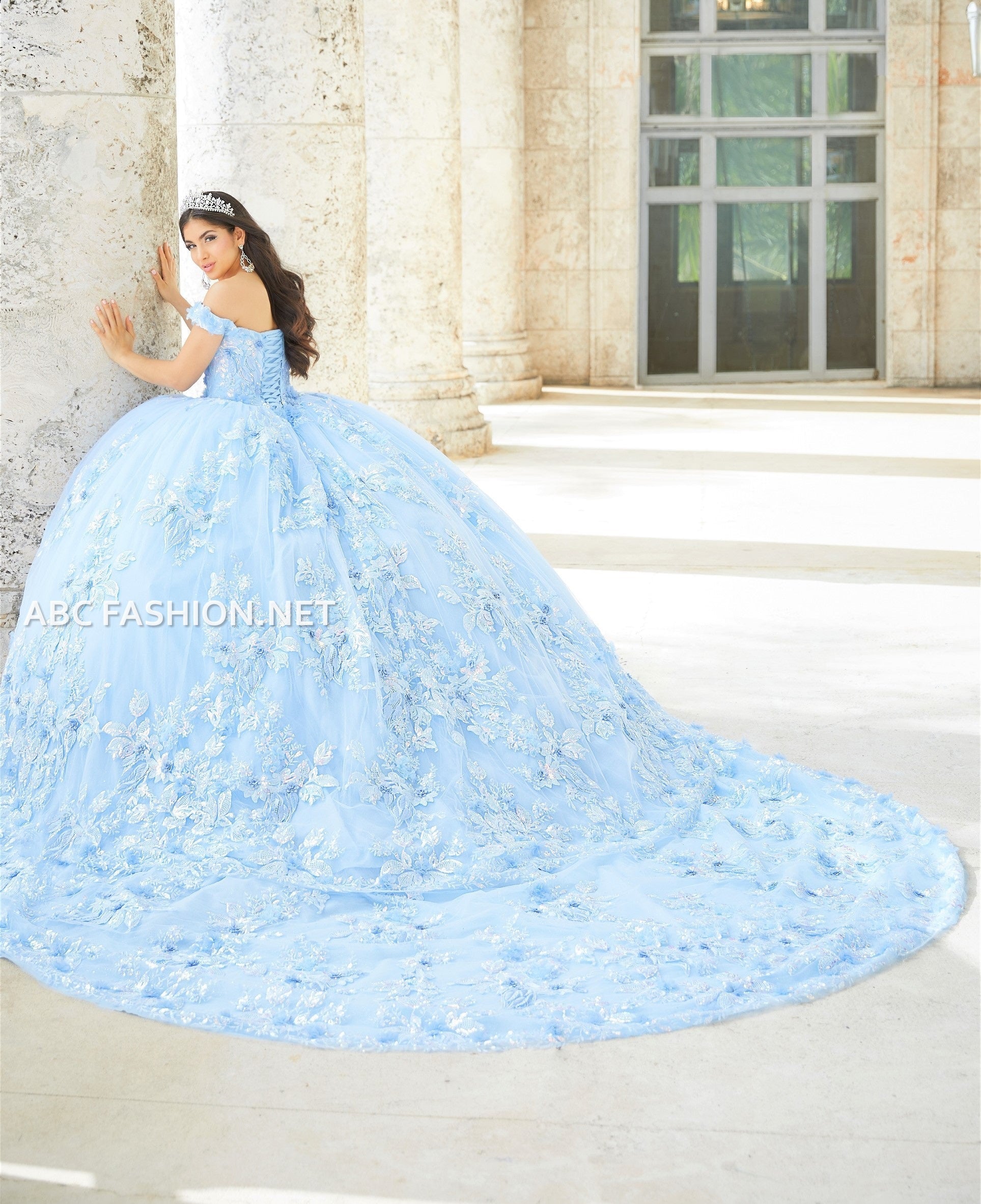 3D Floral Quinceanera Dress with Train by House of Wu 26027T – ABC 