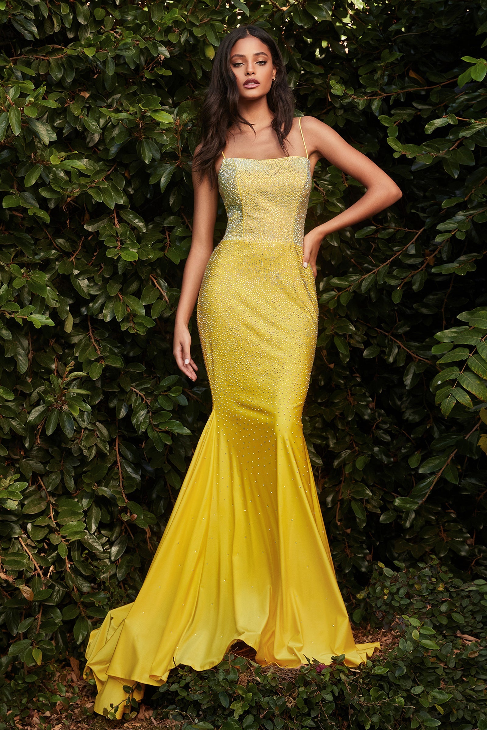 Cinderella Yellow Dress