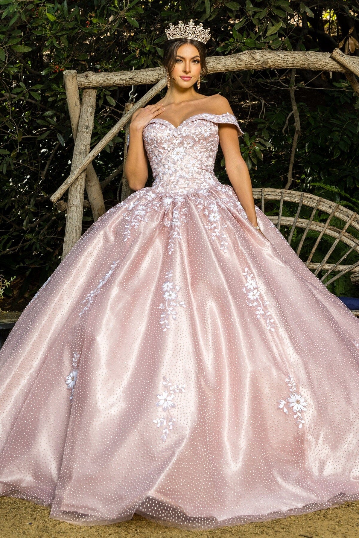 Cinderella Couture Dresses