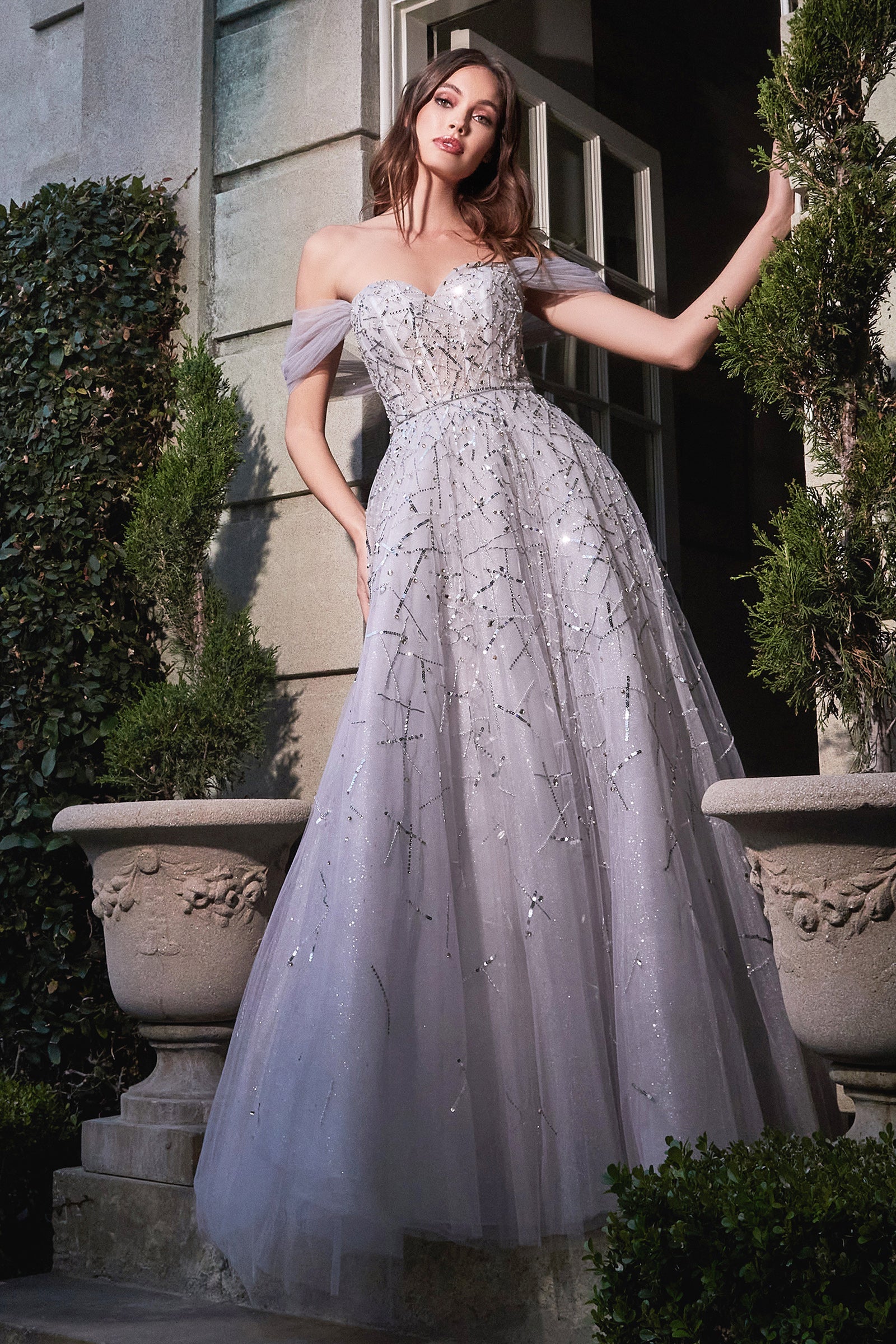 Beautiful shops cinderella dresses