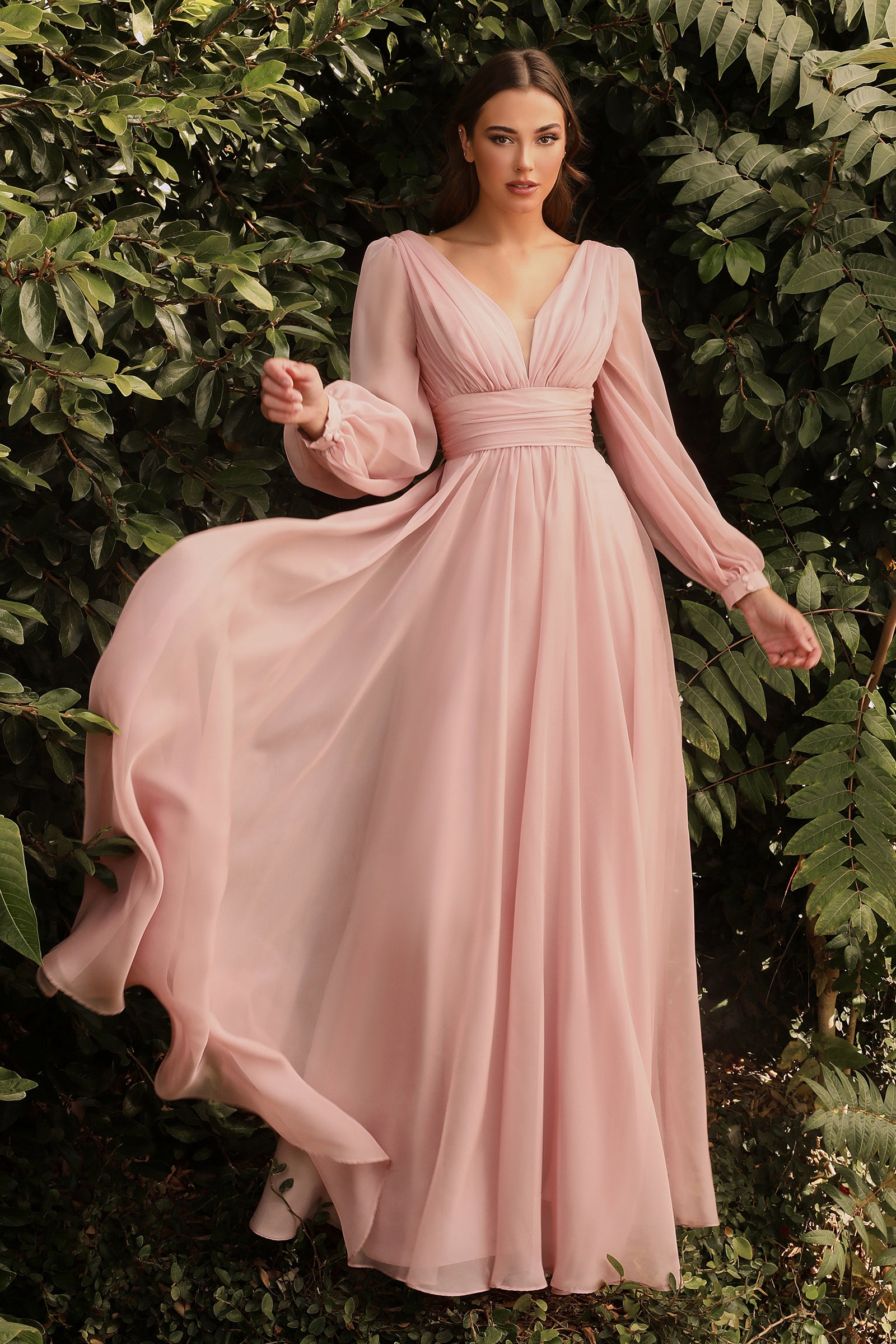 Long chiffon dress with sleeves hotsell