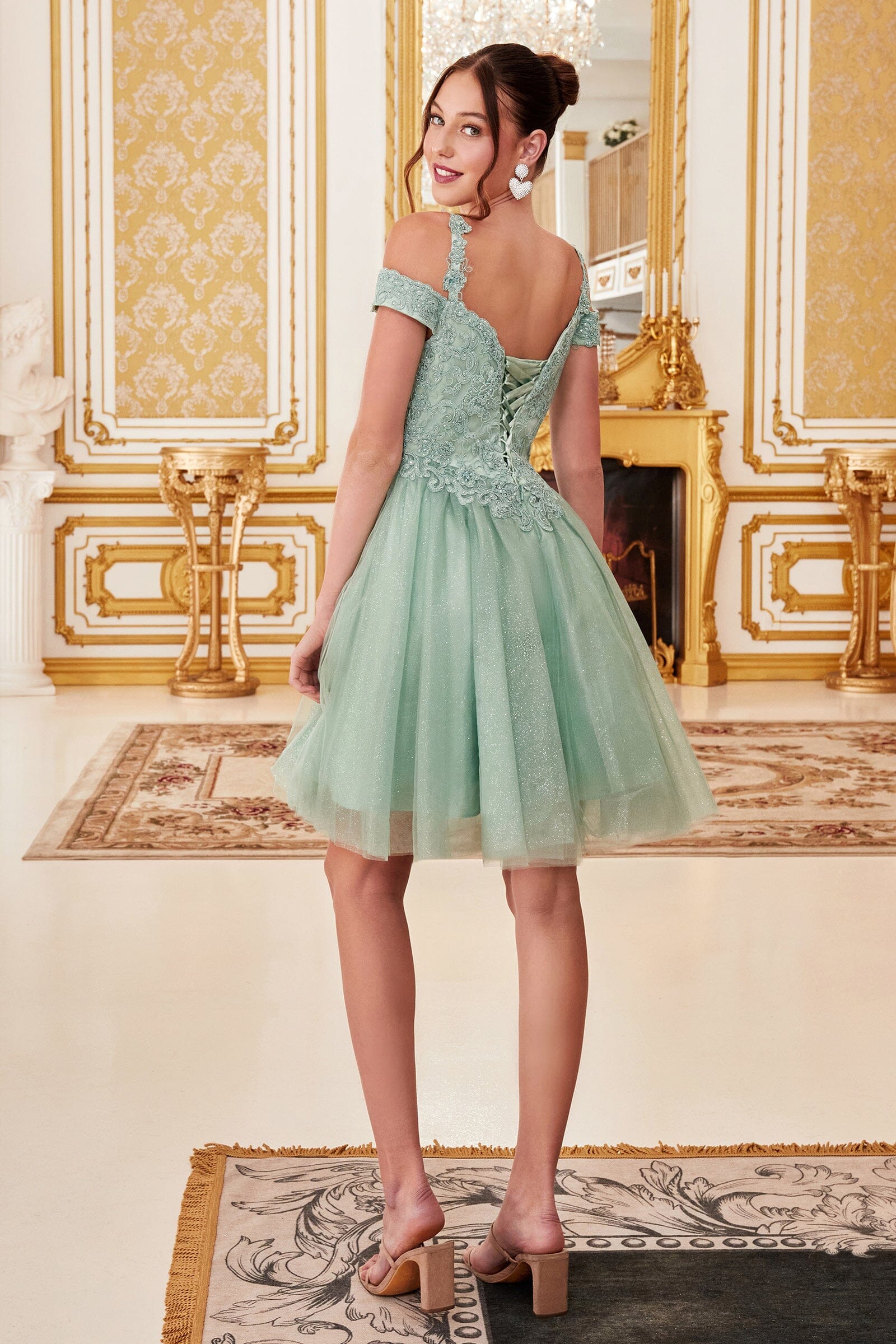 Cinderella Cocktail Dress